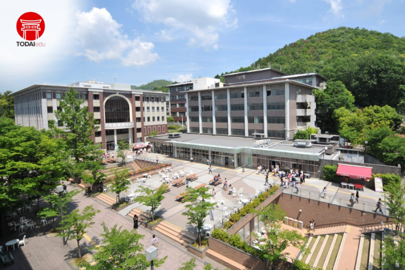 Đại học Ritsumeikan - trại hè Rise up 2025