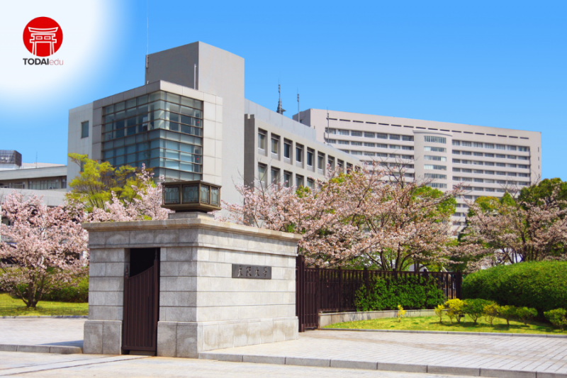 đại học Osaka - Trại hè Rise up 2025