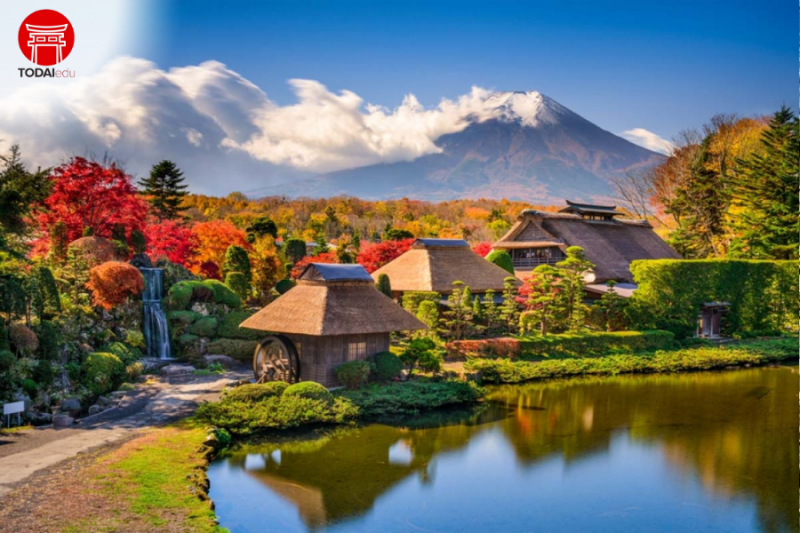 Oshino Hakkai - trại hè Wonder Summer 2025